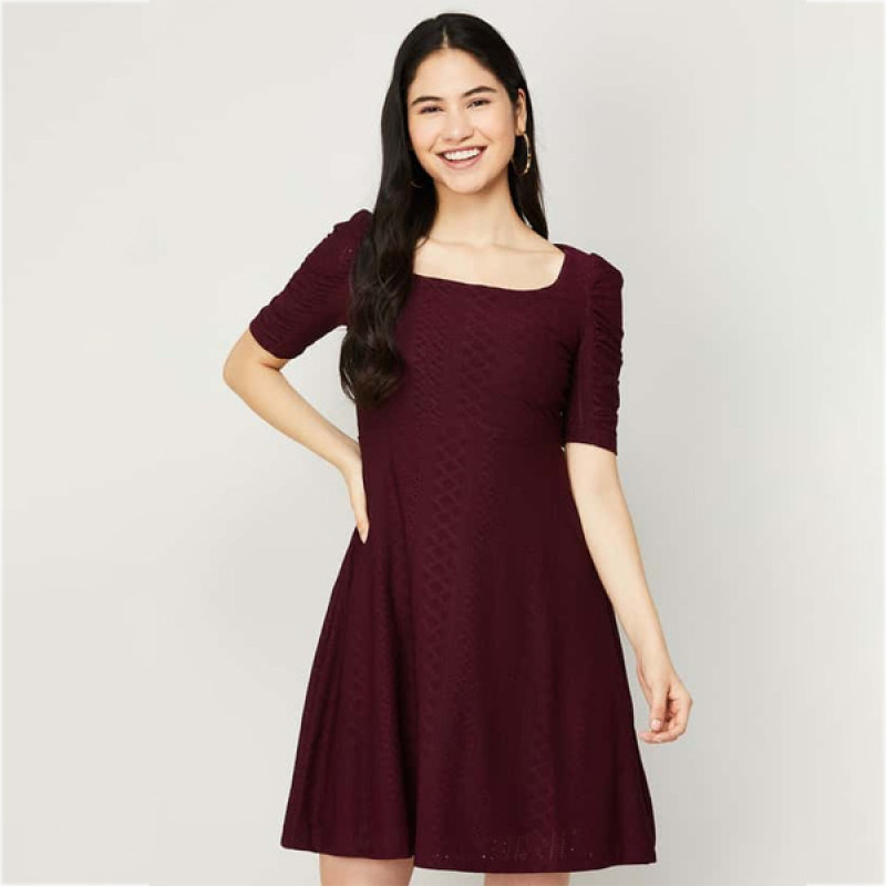 Women Textured Skater Dress