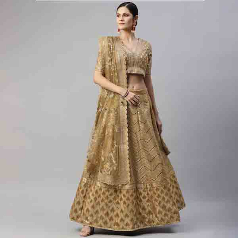 Embroidered Semi-Stitched Lehenga And Choli With Dupatta